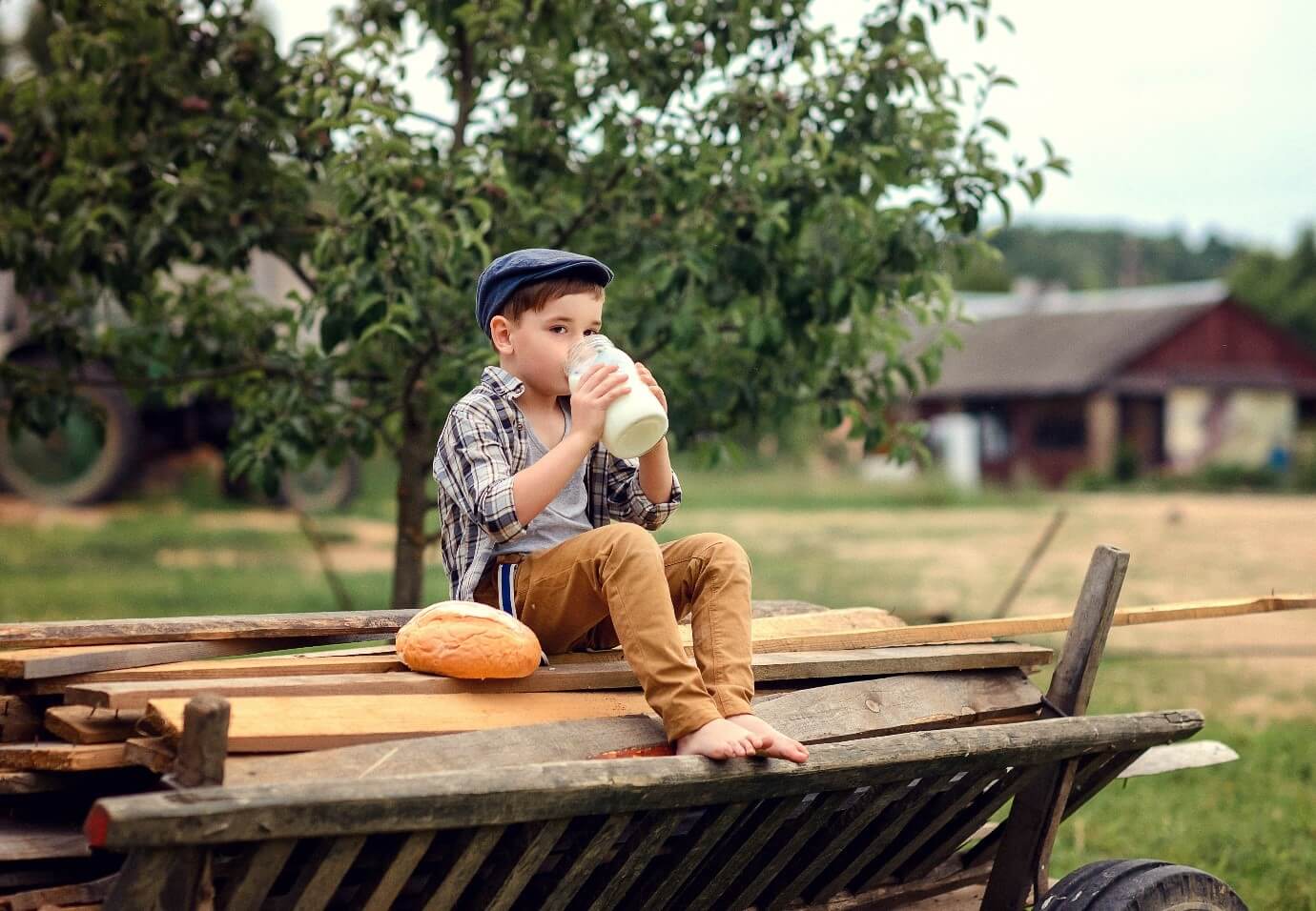 A little boy sitting drink milk